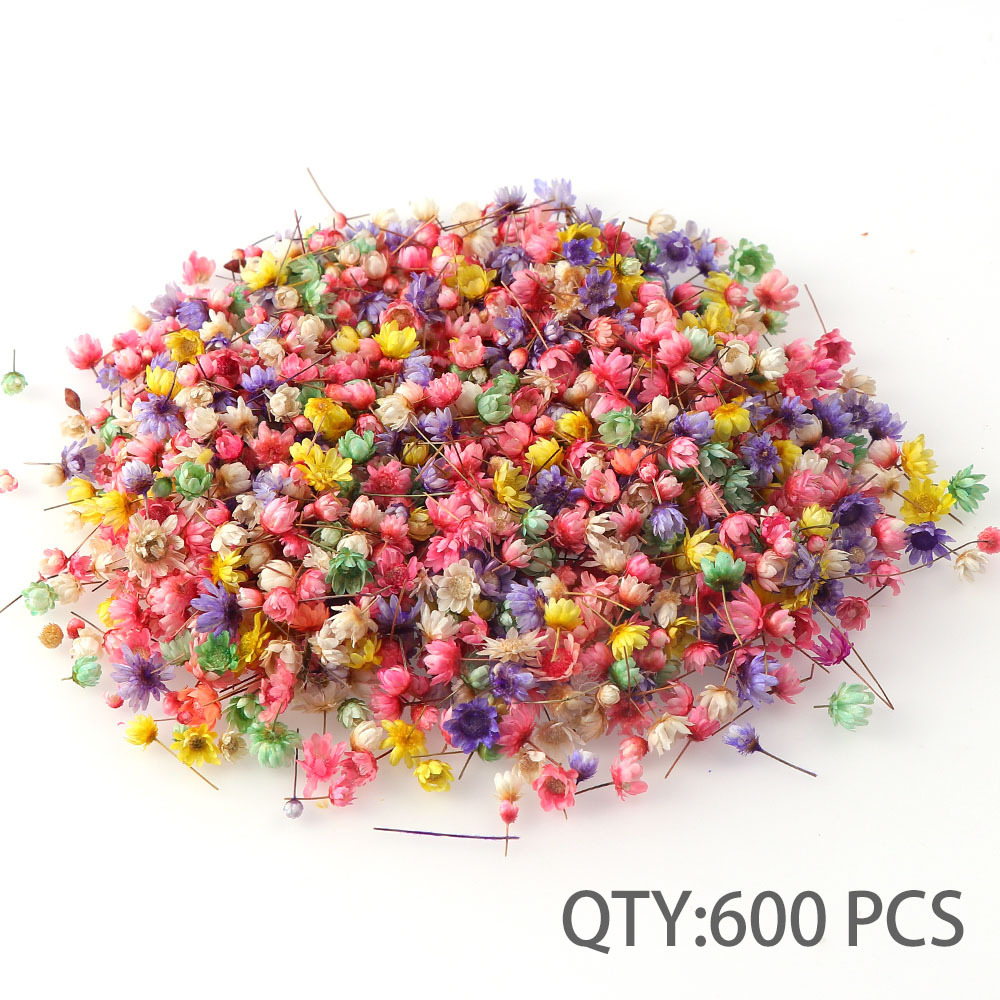 Little Star Dried Flower Decoration - Tiny Blooms