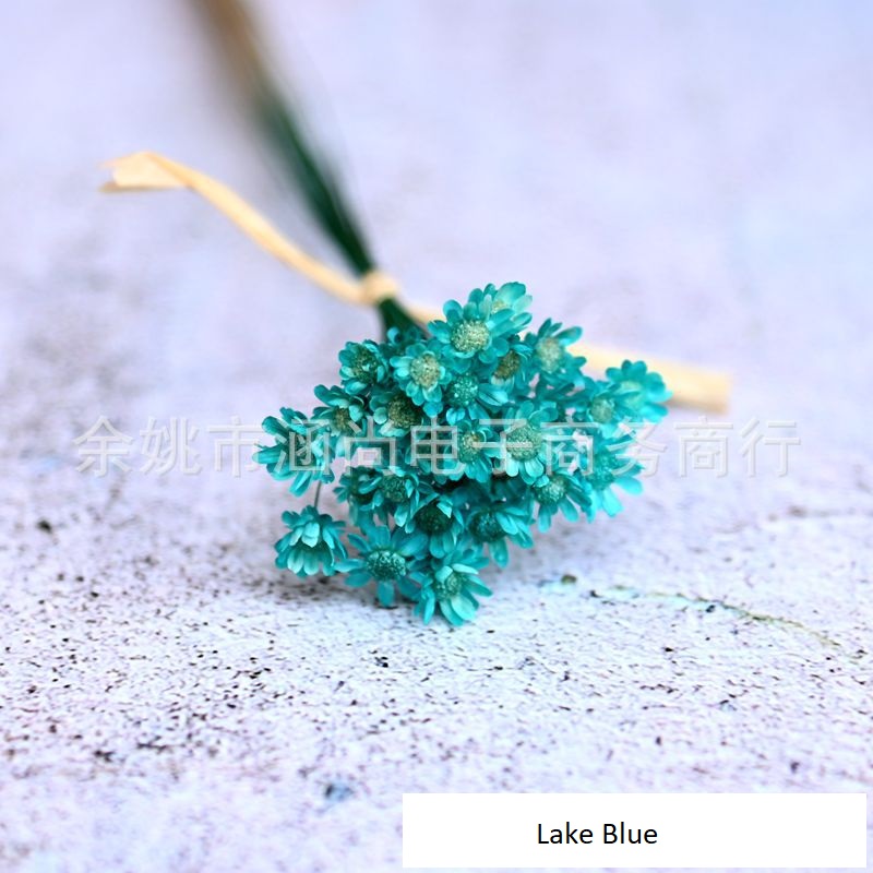 Little Star Dried Flower Decoration - Tiny Blooms in Colors